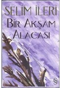Bir Akşam Alacası