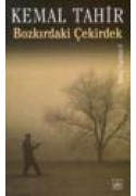 Bozkırdaki Çekirdek
