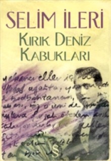 Kırık Deniz Kabukları