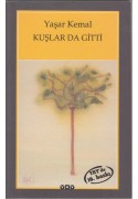 Kuşlar Da Gitti
