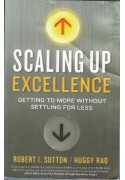 Scalıng Up Excellence