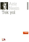 Tek Yol
