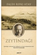 Zeytindağı